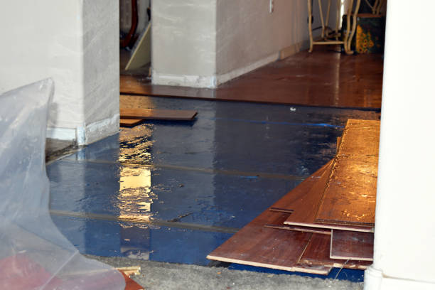 Professional Flood Cleanup technician working in Evansville, WI